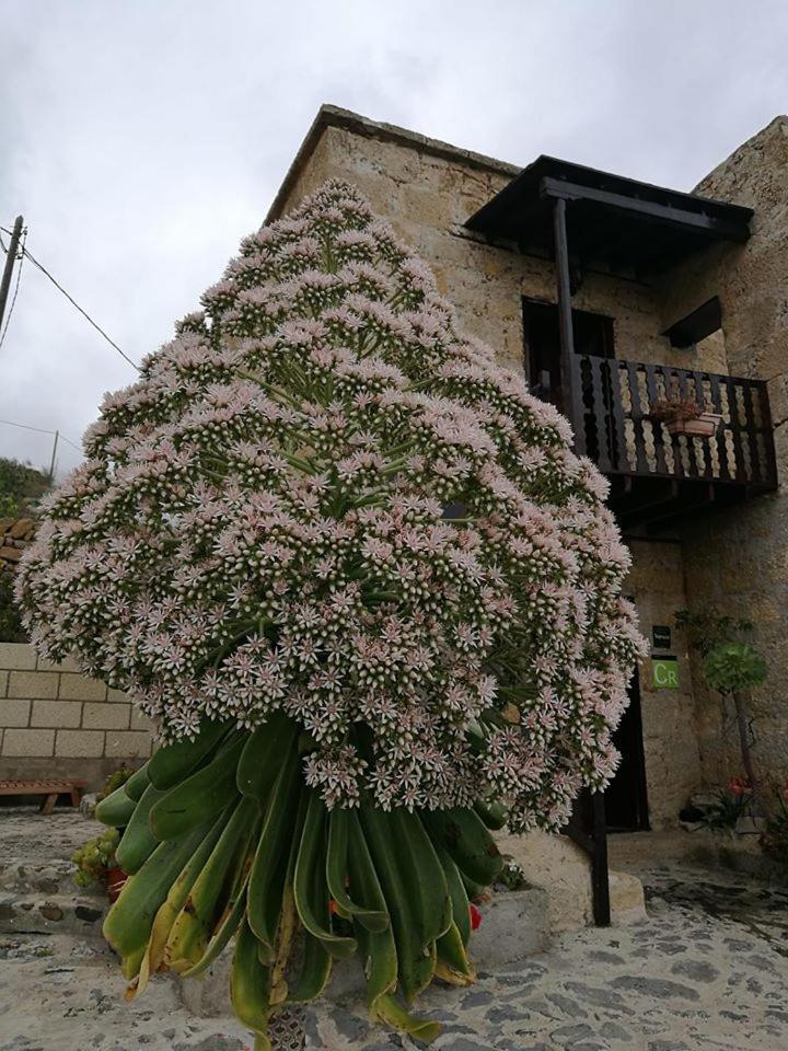 Las Vigas Vivencia Rural Arico Viejo Buitenkant foto